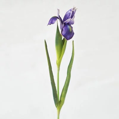 Ирис 60см.,синий 64837 купить